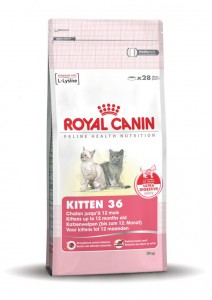 Afbeelding Royal Canin Kitten kattenvoer 10 kg door DierenwinkelXL.nl