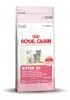 Royal Canin - Kitten 36