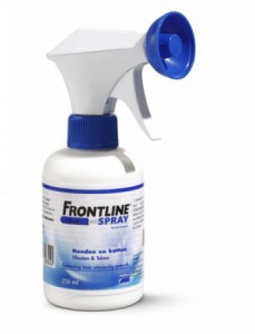 Frontline - Spray
