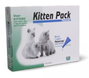 Frontline Kitten pack