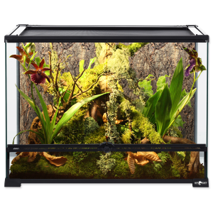 Repti Planet - Terrarium Wide Glas 60x45x45cm