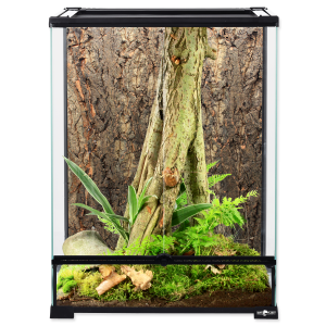Repti Planet - Terrarium Tall Glas 45x45x60cm