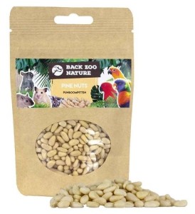 Back Zoo Nature - Pine Nuts