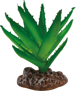 AquaDistri - Repto Plant Aloe Vera