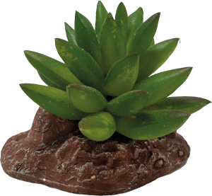 AquaDistri - Repto Plant Aloes
