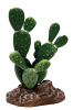 AquaDistri - Repto Plant Cactus Opuntia