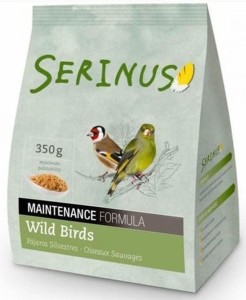 Serinus - Wild Birds Maintenance