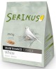 Serinus - White Maintenance