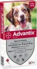 Advantix - Hond 250 (10-25kg)