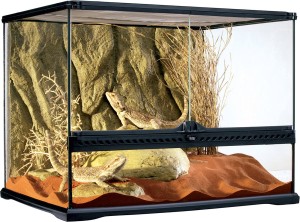 Exo Terra - Glas terrarium incl achterwand 60x45x45cm