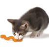 Petstage - Cat Wiggle Worm