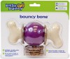 Busy Buddy - Bouncy Bone