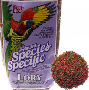 Pretty Bird Lory Special