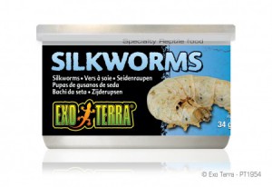 Ex Zijdewormen