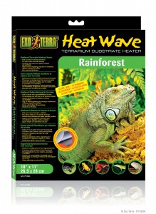 Heat wave rainforest