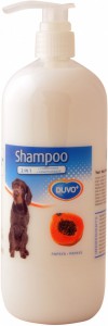 Laroy Duvo 2 in 1 Shampoo