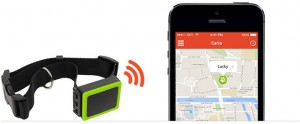 Weenect GPS Tracker Hond (Black Editon 2023) 4G/2G