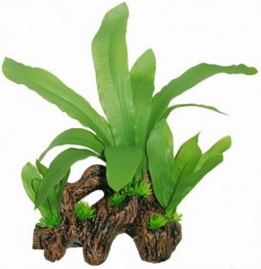 Superfish - Easy Plants Wood Echinodorus