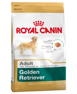 Royal Canin - Golden Retriever Adult