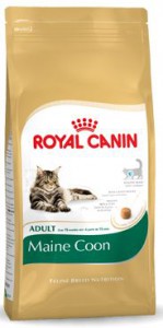 Royal Canin - Mainecoon 31