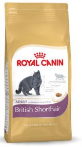 Afbeelding Royal Canin - British Shorthair door DierenwinkelXL.nl