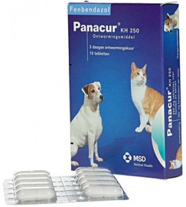 Afbeelding Panacur 250 Ontwormingsmiddel voor hond en kat 10 Tabletten door DierenwinkelXL.nl