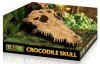 Exo Terra - Crocodile Skull