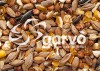 Garvo - Gemengd Graan Speciaal [704]