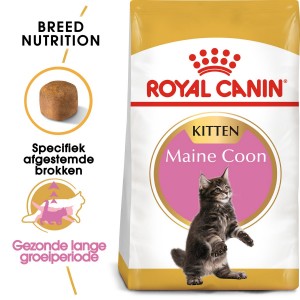 Royal Canin - Mainecoon Kitten