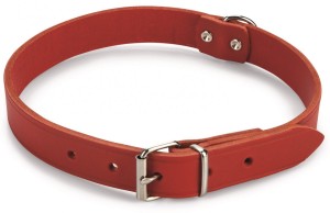 Lederen honden halsband rood - 47 cm x 18 mm