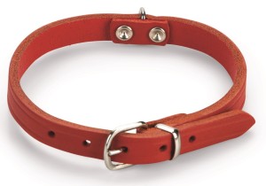 Beeztees - Halsband Rood Geniet